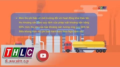 Tiểu muc phí bảo vệ môi trường là bao nhiêu năm 2024