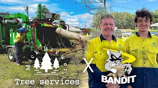 BANDIT & Mick Brewer Tree Services - onsite with the 19XP Chipper by Tree Care Machinery - Bandit, Hansa, Cast Loaders 148 views 3 months ago 1 minute, 37 seconds