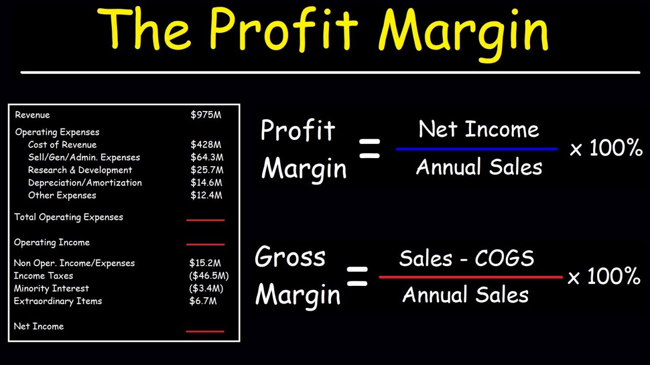 Profit Margin, Gross Margin, and Operating Margin - With Income