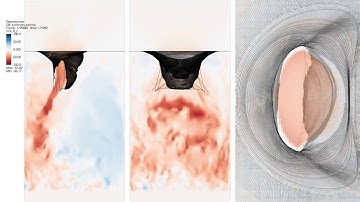 Mitral valve simulation, slow motion