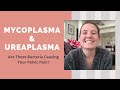 Mycoplasma & Ureaplasma: Are These Bacteria Causing Your Bladder Pain / Pelvic Pain?