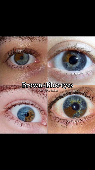 Which brown eyes are you? #blackeyes #browneyes #amber #hazel #aestheic #aesthetic #heteronyms