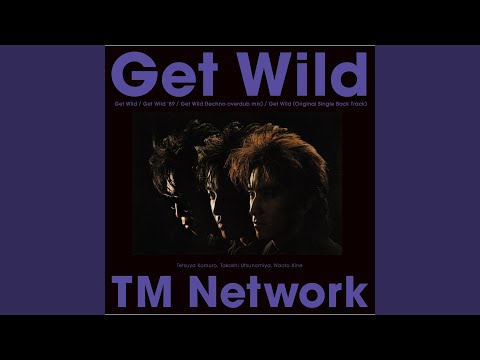 【レア CD】ALL the \"Get Wild\" TM NETWORK レア CD】ALL the Get Wild TM NETWORK