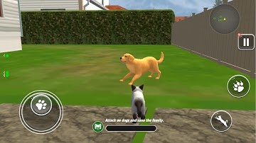 Animal Sim Angry Cat Games 3D - Full Gameplay Walkthrough (Android, iOS)
