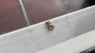 IMG 5865
