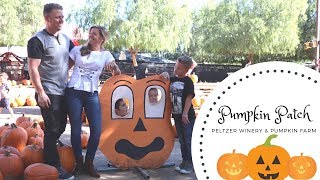 PUMPKIN PATCH - Peltzer Winery & Farm - Halloween Pumpkins