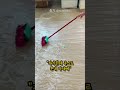 새신랑의 오해