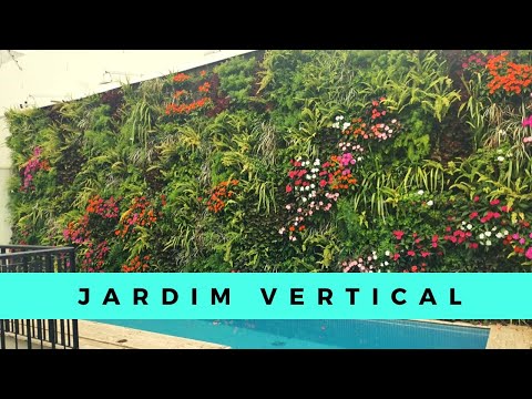 Vídeo: A Ivy De Interior é Um Clássico Da Jardinagem Vertical. Assistência Domiciliar. Foto