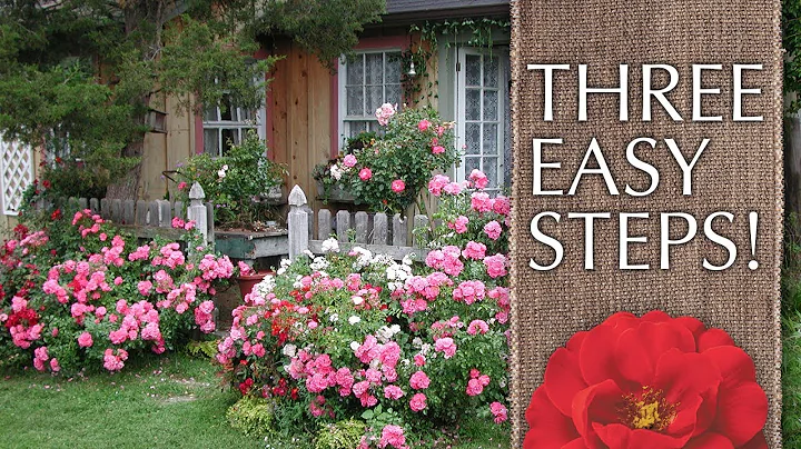 How to Create a Cottage Garden