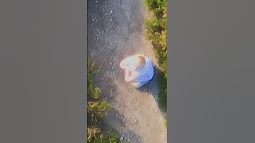 Finding a Lost CHILD. Using the Mavic 3 Thermal Drone to locate a lost child #dronefootage #Search