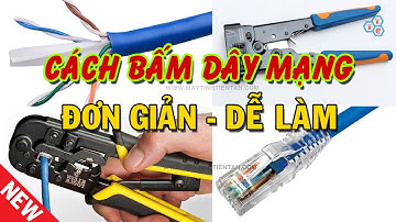 Cách bấm dây mạng LAN Cat 6 chuẩn B chính xác mới nhất