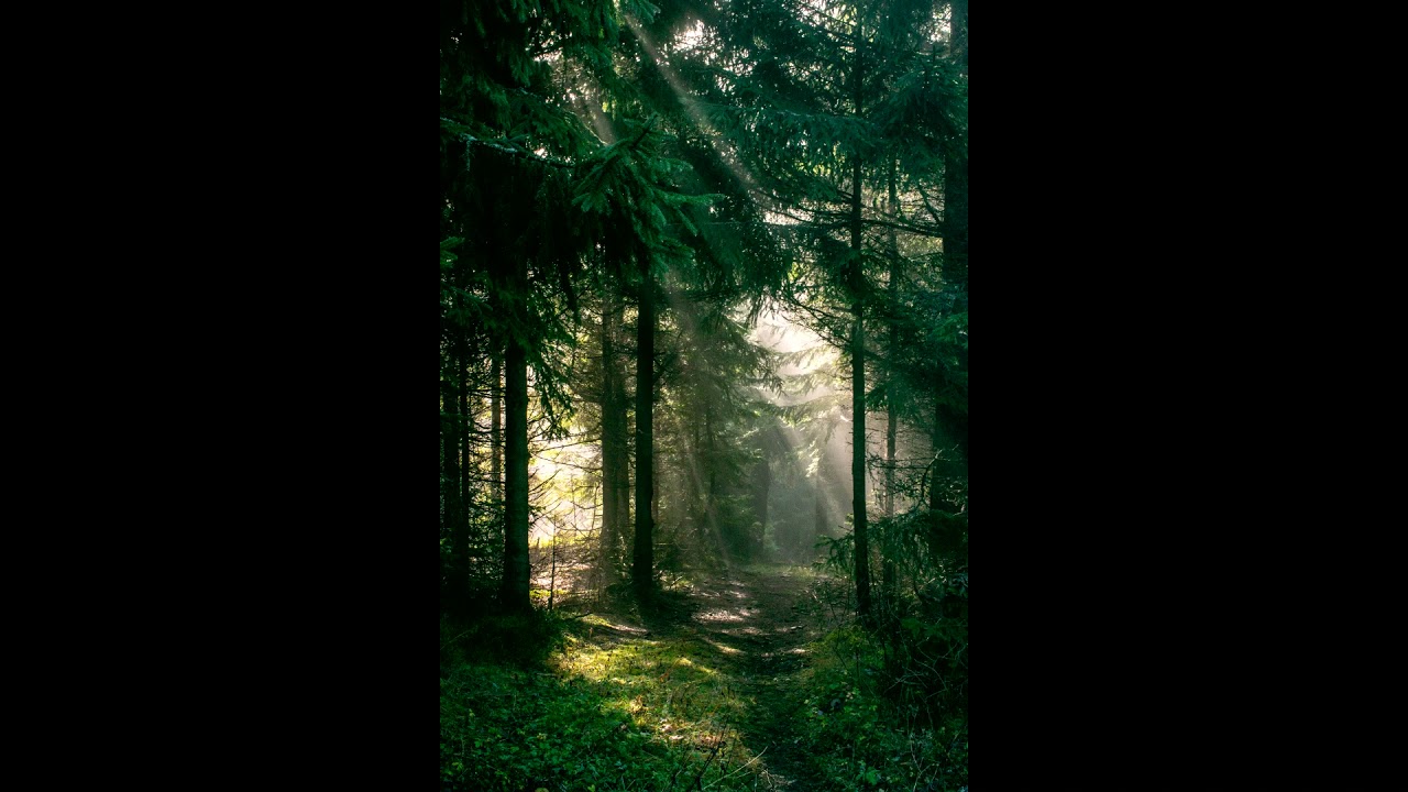 Smaragdový národ - Emerald nation