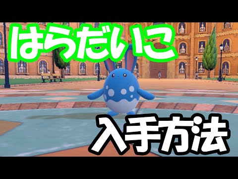 ポケモンsv ちからのねっこの入手方法と効果まとめ スカーレット バイオレット 攻略大百科