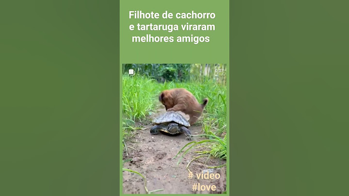 #shorts Incrível,Viraram amigos, muito  fofo filhote de cachorro com Tartaruga  animais engraçados
