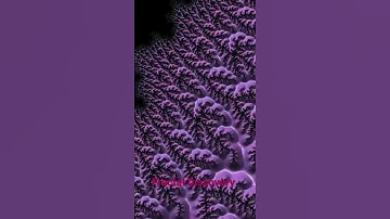 Fractal Zoom #shorts | Fractal Discovery