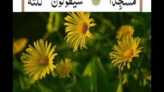 Pandhrwan parah Tilawat Ruku 15 