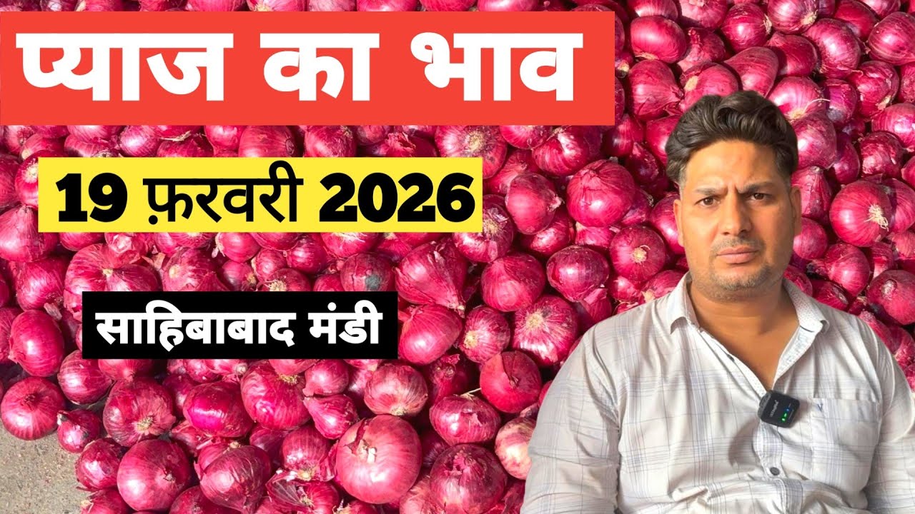 19 February 2026🧅 प्याज का भाव साहिबाबाद मंडी | today onion rates in sahibabad mandi Delhi NCR 