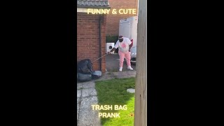 FUNNY!!! Try Not To Laugh | Trash Bag Scare Prank😂😅🤣 #Shorts