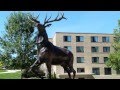 Fairfield University Others(1) Fairfield University Others(1)