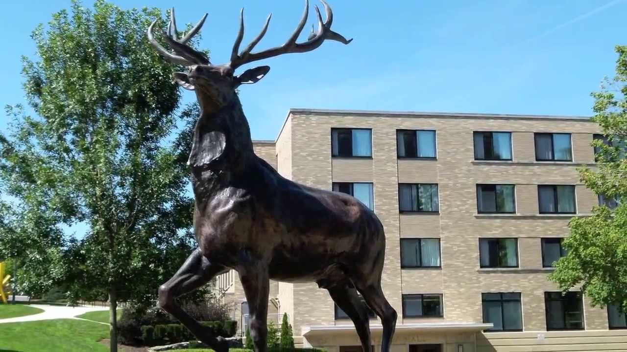 fairfield university campus tour