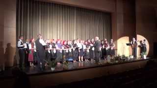 Video thumbnail of "Mondschein-Chor Szekszárd - Hoch am Himmel"