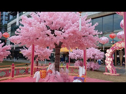 MINI CHERRY BLOSSOM AT NORTH POINT HARBOURFRONT | HK