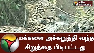 Leopard enters Village, caught by the Forest Dpt in Jammu Kashmir screenshot 5