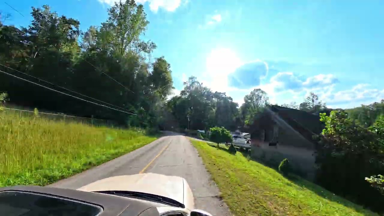 Scenic Winding Road Drive | Peaceful Nature Ride