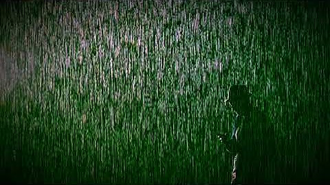 Standing in the Rain-Peter Weiss original