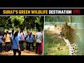 Sarthana Nature Park, Surat: A unique hub for wildlife conservation and nature education