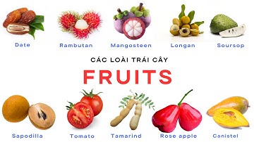 Học Tiếng Anh - Các Loại Trái Cây - FRUITS P2 | Epic