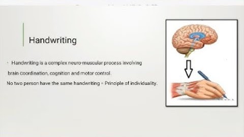 Handwriting Analysis Part 2 | Admitted vs Specimen Standards | Marking & Labeling Demo