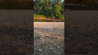 Its Not Possible Anyway 4000hoursofairtime funnyquotes javanesewords funnywords