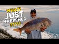 What just happened? | Dentex Shore Jigging