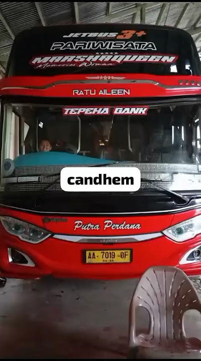Basuri viral Marsha and the bear bus putra perdana “Marshaquen”