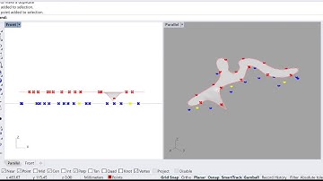 Minimal surface using Kangaroo for Grasshopper