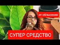 Самое Простое.Сильное средство Лавровый лист.Волосы больше не будут выпадать. Быстрый Рост волос.