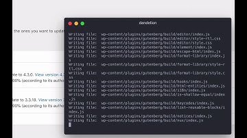 Workflow for Keeping WordPress Site Updated