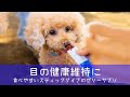 犬サプリメント　目の健康維持に（ミックスベリー味）