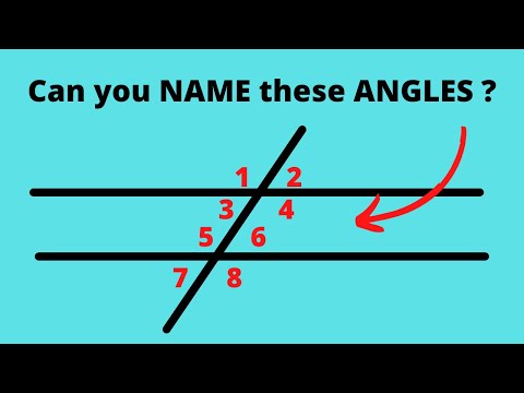 Video: Hoe maak je parallelle lijnen die door een transversaal zijn gesneden?