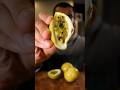 Let S Try Honey Passion Fruit Let S Try Honey Passion Fruit