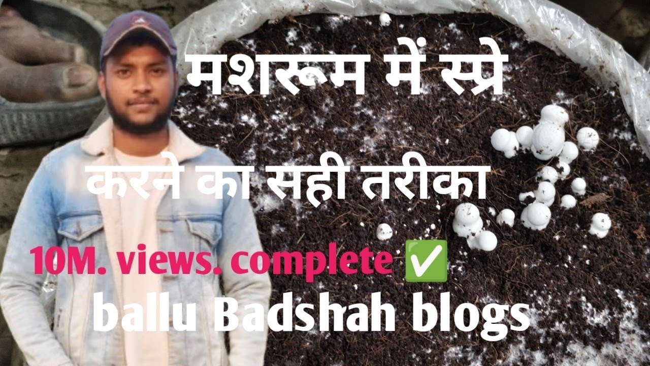मशरूम में स्प्रे कैसे किया जाता है,desi tarika, ballu badshah blogs,  500M views 