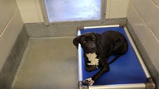 acs A654126