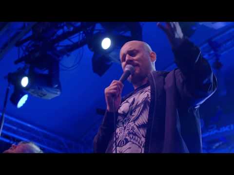 Medeia - Insectia Live (Provinssi 2019)