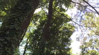 A Separate Peace Movie Trailer