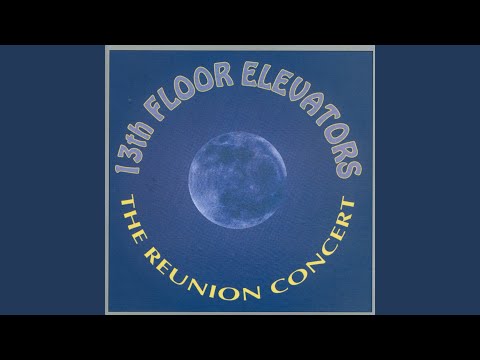 13th Floor Elevators — Bloody Hammer