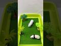 Panda Toys in Bamboo Forest | Animal Toys ASMR #satisfying