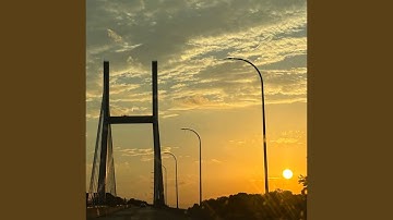 this title had the cure for cancer but the cia got us first