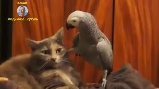 Доброе видео Доброе видео