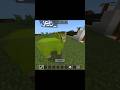 sheep rainbow colour #minecraft #shorts #subscribe